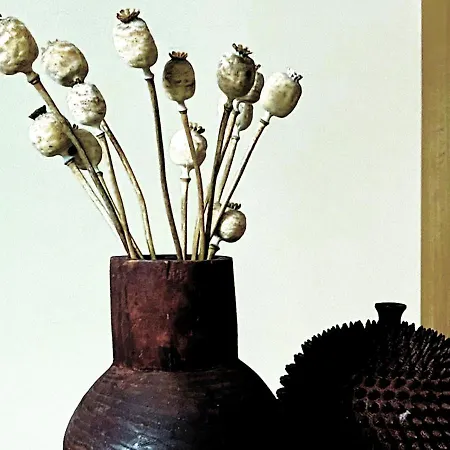 Superbe Grande Maison - Amis - Familles - Entreprises Τουλούζη