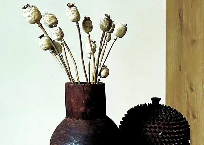 Superbe Grande Maison - Amis - Familles - Entreprises Тулуза